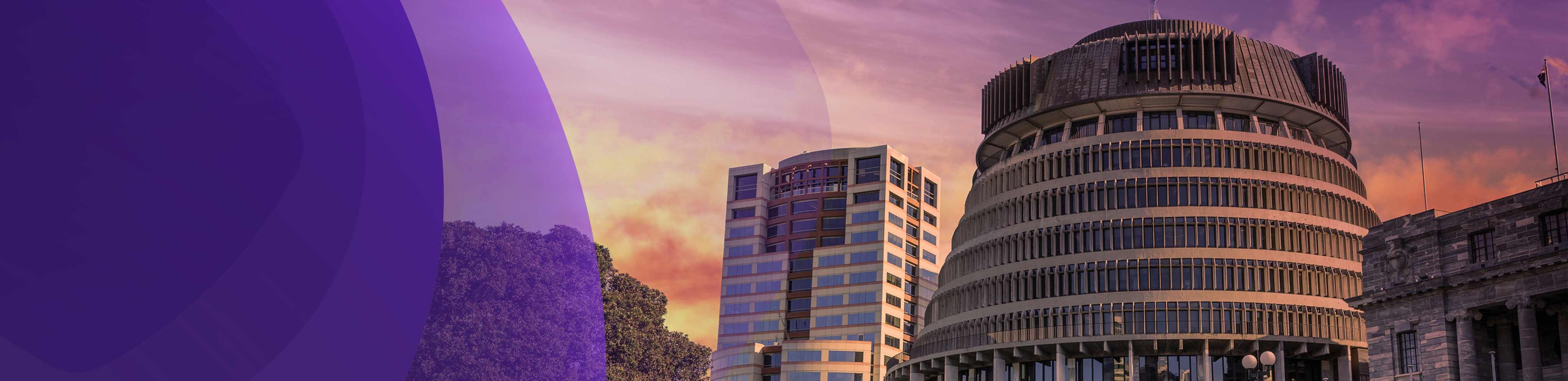 insight featured image