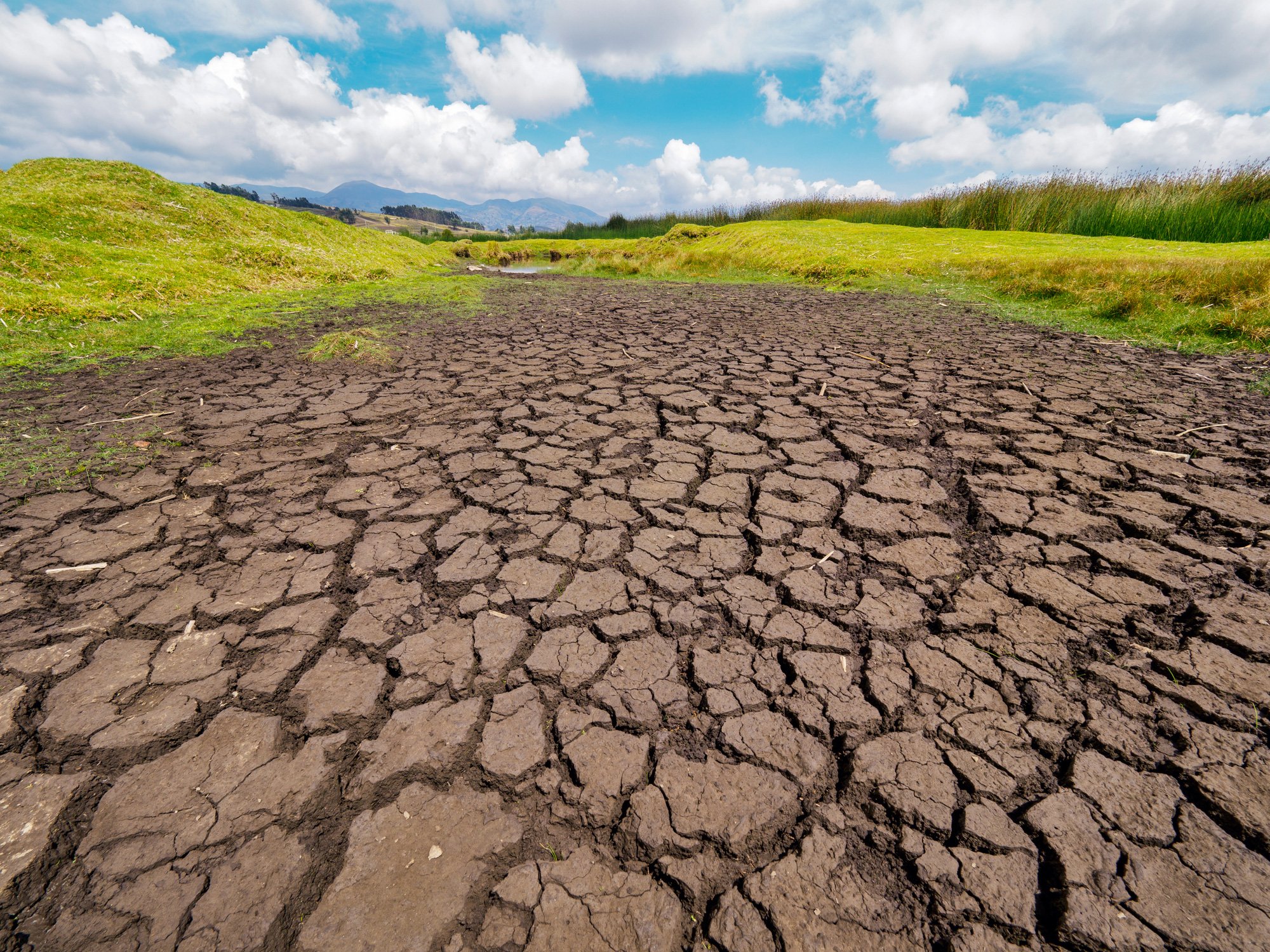 Doing more with even less: More IA gaps in the public sector