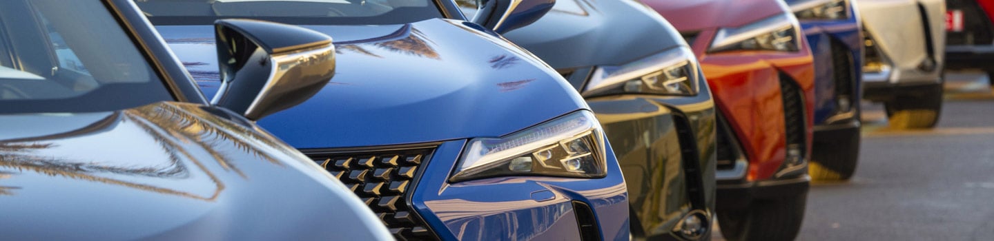 insight featured image