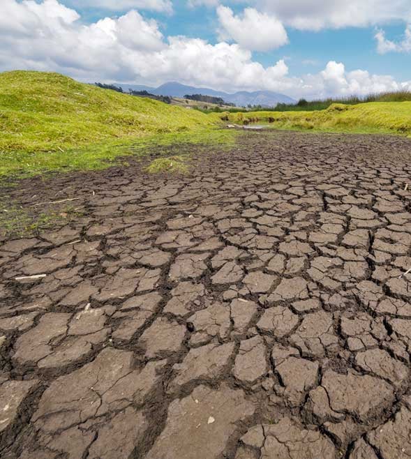 Doing more with even less: The increasing internal audit gaps in New Zealand’s public sector