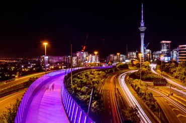 Latest updates on Active Investor Plus Visa, NZTE & overseas investment policy