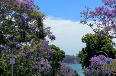 Auckland alumni get-together