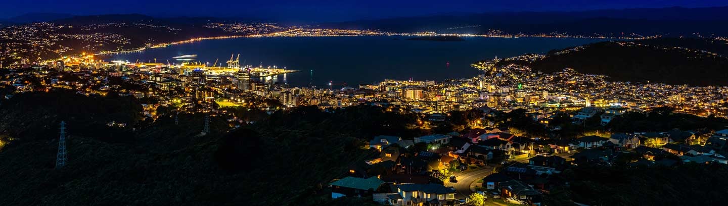 Wellington alumni get-together