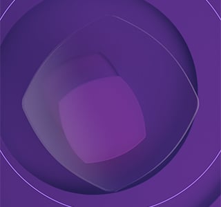 Bi-annual business survey results