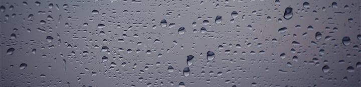 insight featured image