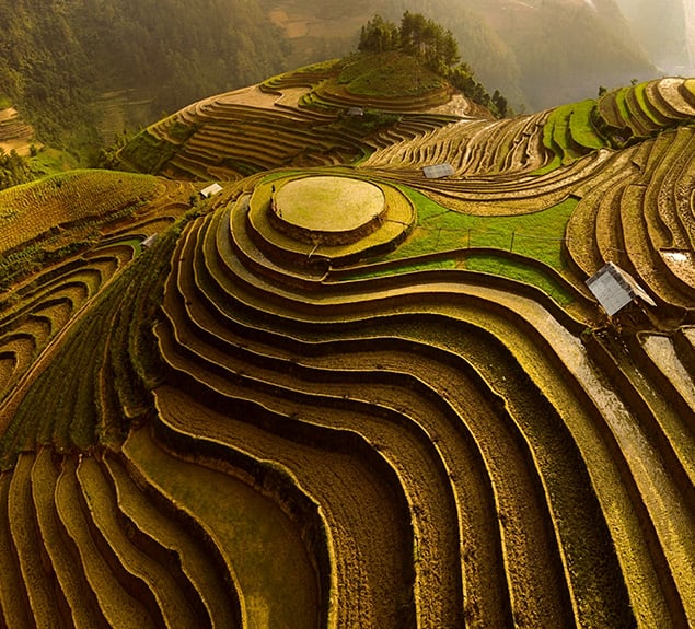 Are cryptocurrencies, CBDC and Stablecoins the future of New Zealand’s financial sector?