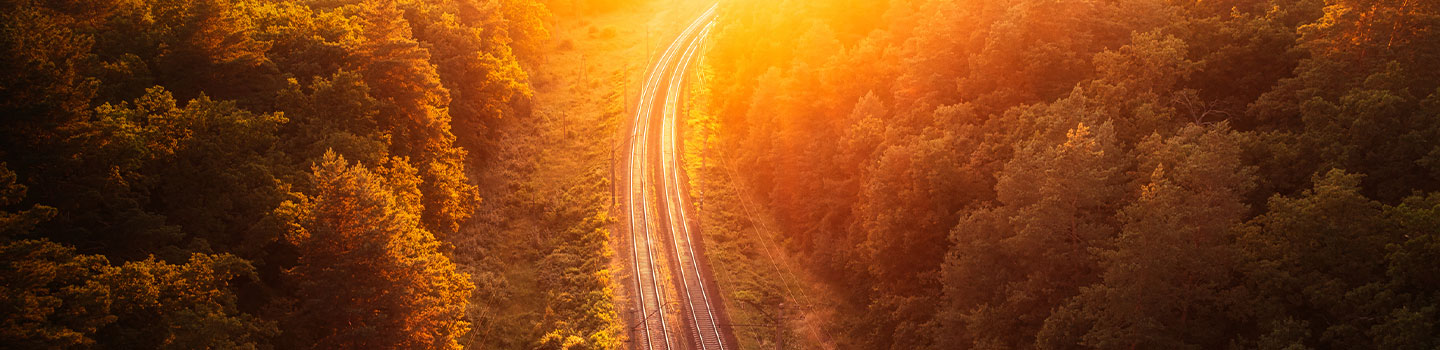 insight featured image