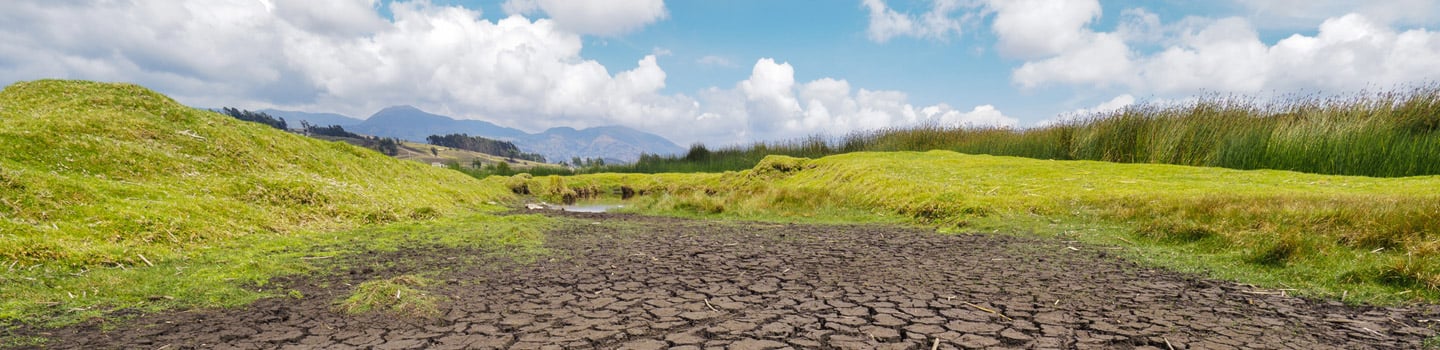 insight featured image