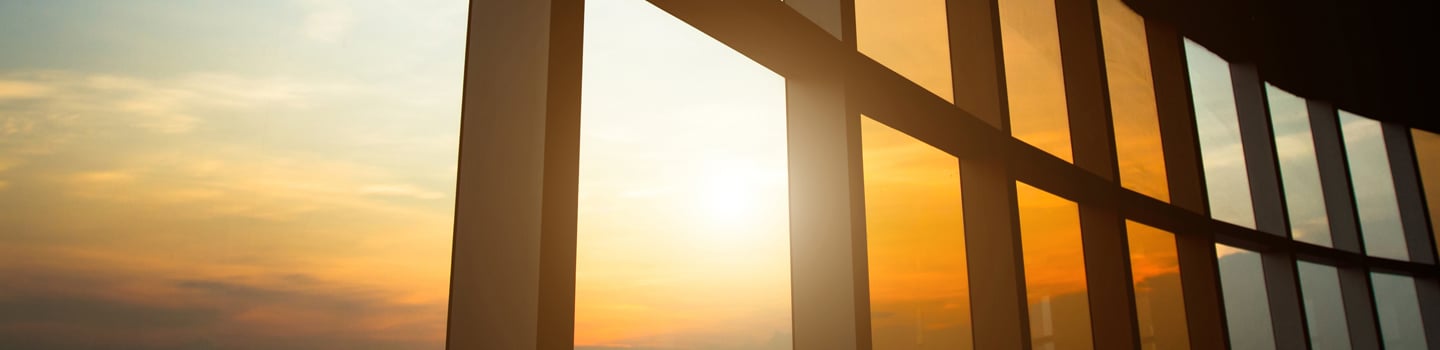 insight featured image