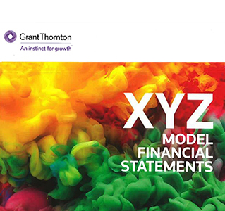 XYZ Model Financial Statements