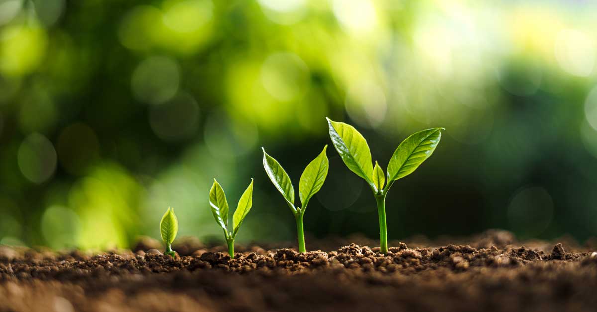 Digging deeper: How can your business navigate these challenges?